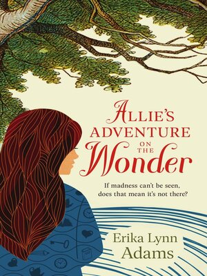 cover image of Allie's Adventure on the Wonder